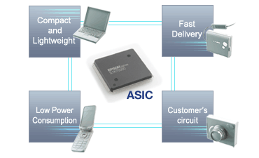 Asic website on sale