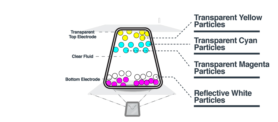 ACeP-How-It-Works